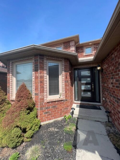 Brown Steel Door With Sidelites ALDA Windows and Doors