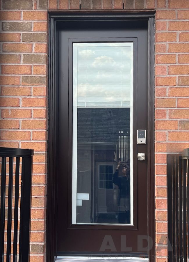 Dark Brown steel door with full glass insert