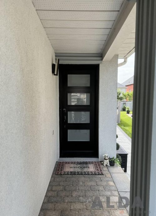 Black entry door with glass inserts