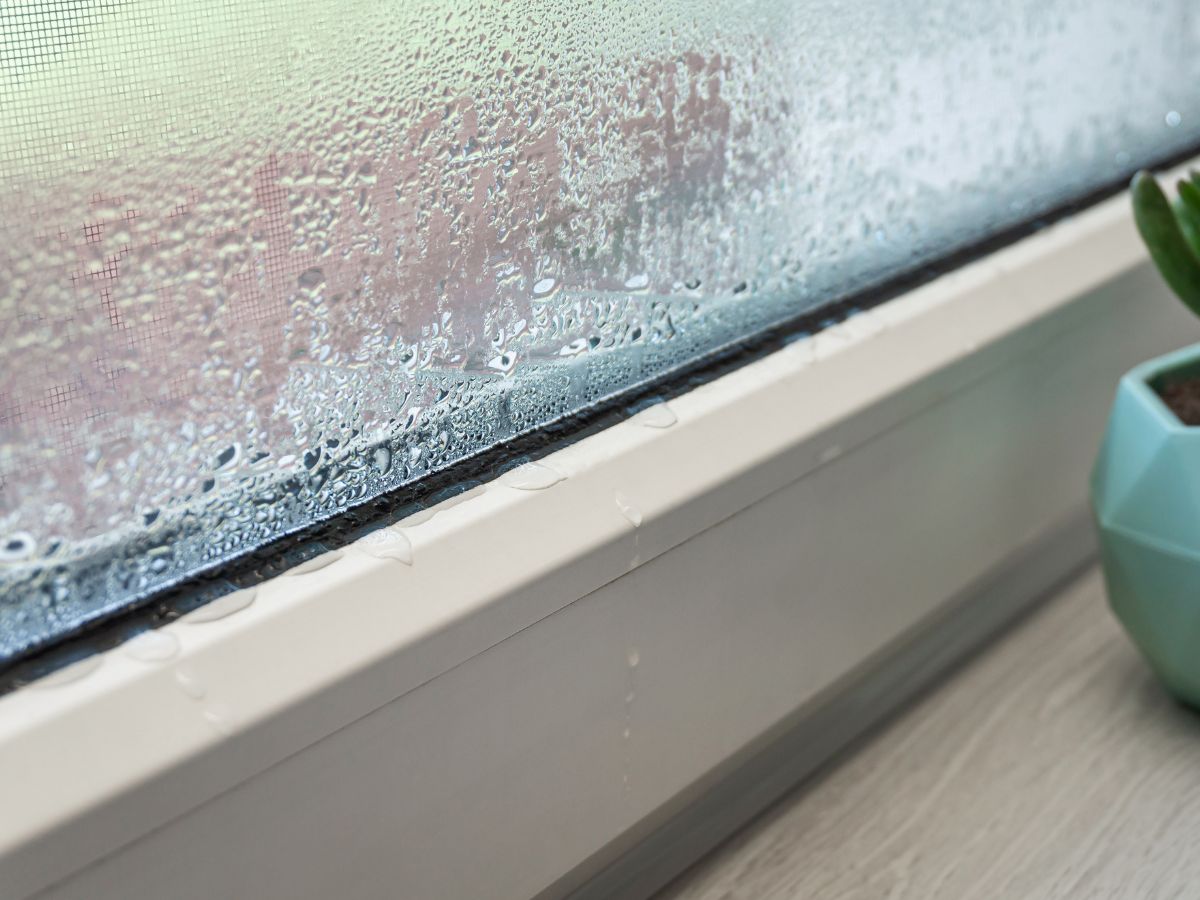 condensation on window